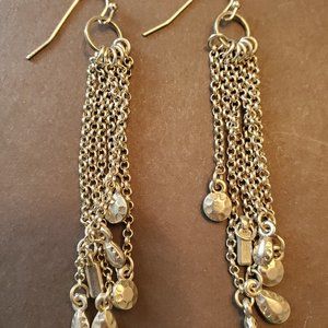 Express Dangle Earrings